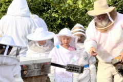 9/6/24 - 4h beekeeping event